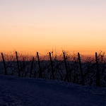 Eiszeit überm Neckartal  - Februar 2009