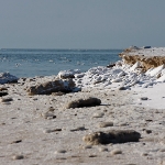 Erstarrt - Dezember 2010