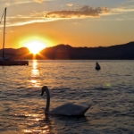 Friedlich und Wärmend - September 2015  Inzwischen war ich sicher 25 mal am Gardasee. Doch immer wieder gibt einem der See neue Blicke und Fantasien zurück. Ende September erlebte ich hier den wohl stimmungsvollsten Sonnenuntergang am Ufer bei Torri del Benaco.