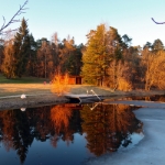 Der Tag holt sich den Frühling - März 2019