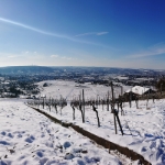 Wintertraum - Februar 2021