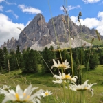 Magie eines Berges - August 2021