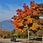 Goldener Herbst - Oktober 2021