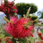 Naturexplosion - Mai 2023