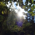Kleinigkeiten am Wegesrand - September 2023