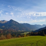 Sommerfinale - November 2024