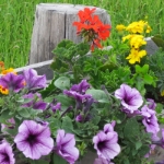 Impressionen 179