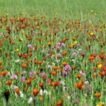 10 FTT 2014 - Impressionen - 137