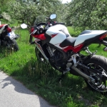 Honda Pressetag 2015 - 33