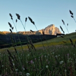 12 FTT 2016 - Impressionen - 145