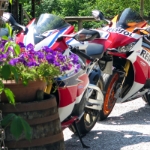 12 FTT 2016 - Impressionen - 167