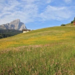 12 FTT 2016 - Impressionen - 184