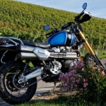 Triumph Scrambler xe - 42