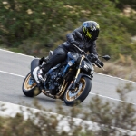 Hornet SP 2025 Alicante - 19