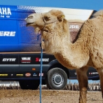 Yamaha Tenere700 Marokko - 49