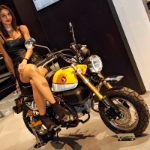 172 EICMA Honda allgemein - 52
