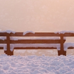 IMG 0318a