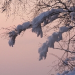 IMG 0327a