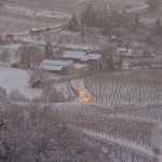 IMG 0337a