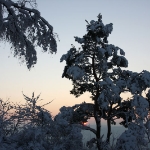 IMG 0352a