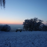 IMG 0430a