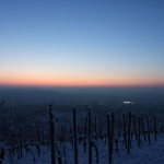 IMG 0432a
