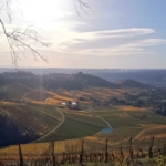 Novemberwanderung 2015 - 03