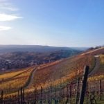 Novemberwanderung 2015 - 08