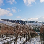 Winterwenderung 01