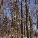 Winterwenderung 06