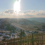 Winterwenderung 08