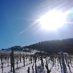 Kappelberg und Kernenturm im Winter 2021