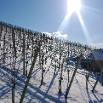 Kappelberg Rotenberg - 02