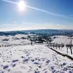 Kappelberg Rotenberg - 07