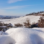 Winterrunde übern Kappelberg &#38; Rotenberg 2021