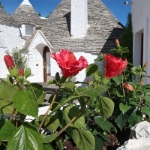 Alberobello Trullis 2021 - 25