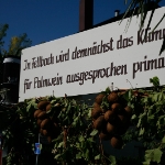 Festumzug Fellbacher Herbst 2010 - 001