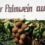 Festumzug Fellbacher Herbst 2010 - 002