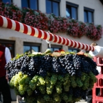 Festumzug Fellbacher Herbst 2010 - 014