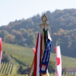 Festumzug Fellbacher Herbst 2010 - 020