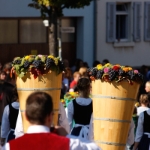 Festumzug Fellbacher Herbst 2010 - 068