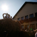 Festumzug Fellbacher Herbst 2010 - 071