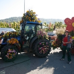 Festumzug Fellbacher Herbst 2010 - 090