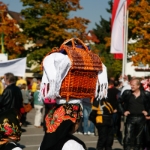 Festumzug Fellbacher Herbst 2010 - 210