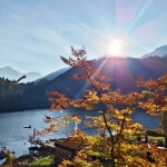 Herbst am Freibergsee - 23