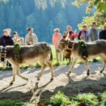 Viehscheid Oberstdorf 2026 - 01