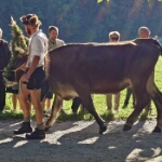 Viehscheid Oberstdorf 2026 - 02