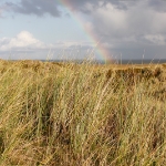 Sylt Okt2009 031