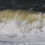 Sylt Okt2009 041