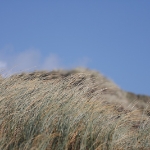 Sylt Okt2009 052